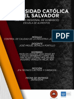 Control de calidad en la elaboración de helado de banana