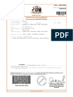 Certificado de nacimiento chileno con RUN y datos de padres