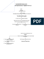 Pathophysiology (Normal Spontaneous Vaginal Delivery)