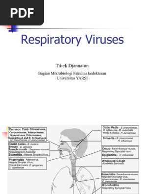 Respiratory Td Gnp 1819 Influenza Pandemic Influenza A Virus