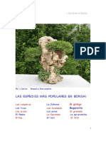 las.especies.mas.populares.en.bonsai.pdf