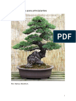 Guia-practica-para-crear-tu-Bonsai.pdf