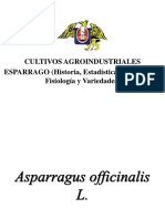 ESPARRAGO(HISTORIA, ESTADISTICAS, MORFOLOGIA, FISIOLOGIA Y VARIEDADES)1110.ppt