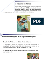 Higiene y Seguridad en Mexico PDF