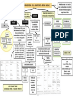 Mapa Conceptual TRR IRA