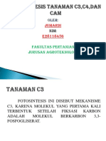 Fotosintesis C3 vs C4 vs CAM