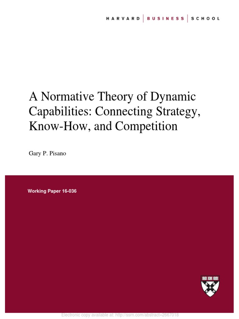 A Normative Theory of Dynamic Capabilities | PDF | Strategic Management ...