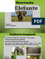El Elefante Disertacion