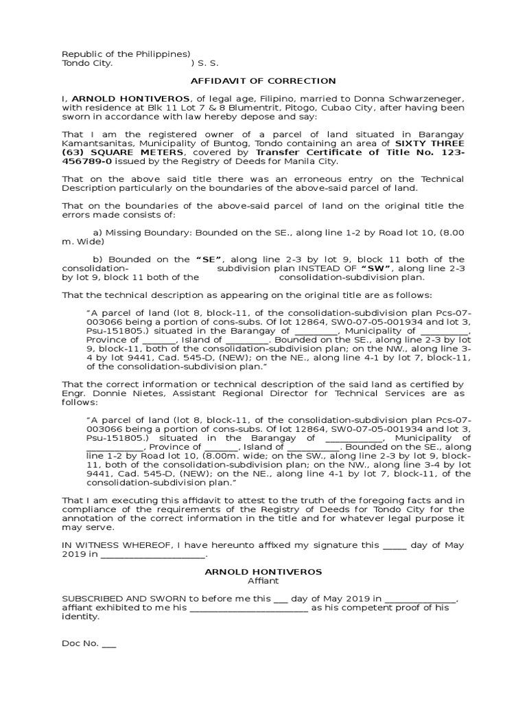 Affidavit for Title Correction in Tondo | PDF | Affidavit | Document