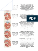 APMuscles.pdf