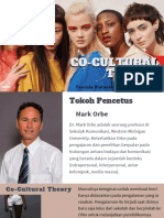 Co Cultural Theory
