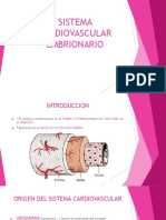 Sistema Cardiovascular