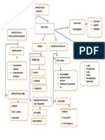 Esquema Discalculia