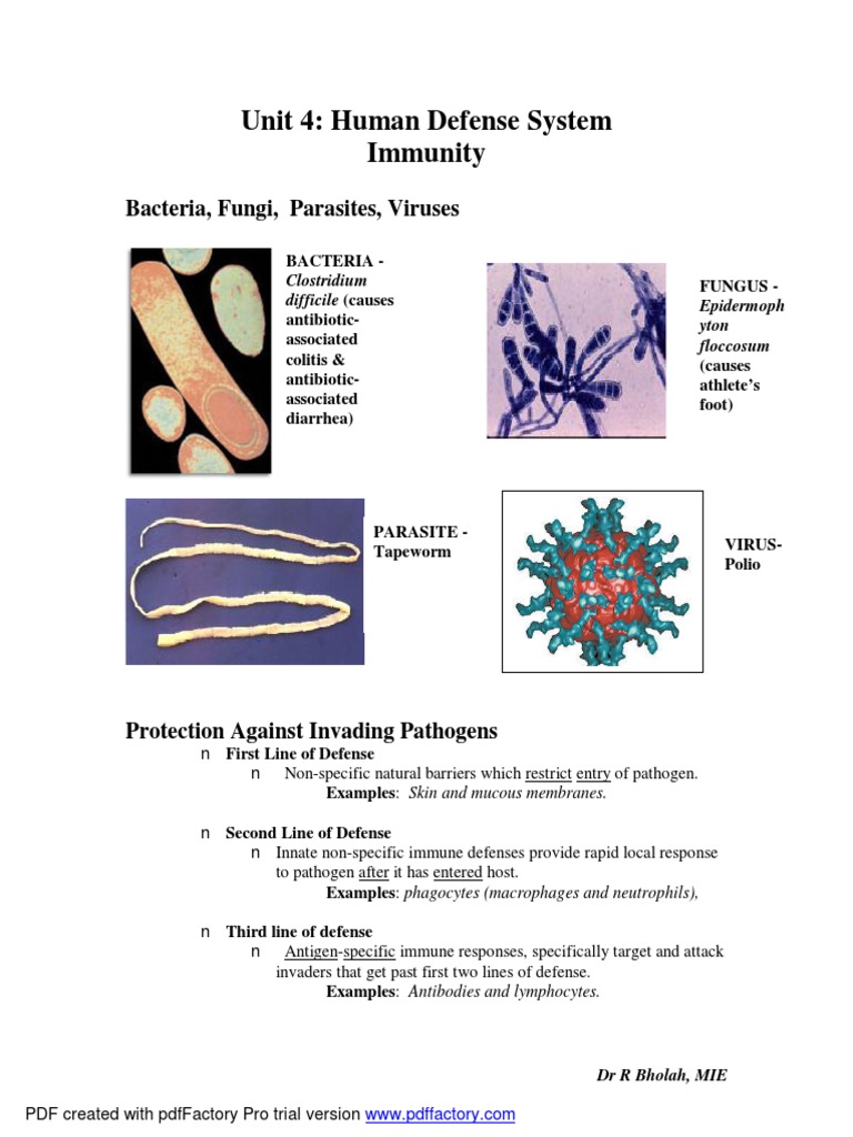 Three Lines of Defense in Immunity | PDF | Immunity (Medical) | Immune ...