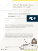 compostaje biopilas.pdf