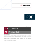 0004 B12 COMB GASEOSOS PRACTICA Guia PDF