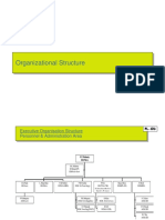 Organizational Structure PGP PDF