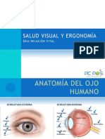 Salud Visual y Ergonomía