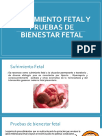 Sufrimiento Fetal y Pruebas de Bienestar Fetal Terminado