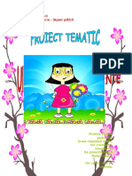 31_Proiect_tematic.doc