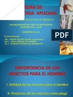 1_ CLASE ENT. APLIC._IMPORTANCIA DE LOS INSECTOS.pptx