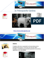 Curso Peluqueria Canina 120801004313 Phpapp02 PDF