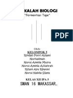 Fermentasi Tape