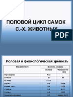 Лекция 1, 2 Половой цикл