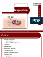 Cellular Respiration: Biology