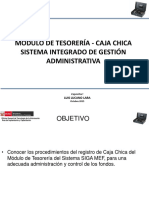 Modulo de Tesoreria Caja Chica PDF