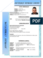 CV Johan Duvasky Pineda Nieto