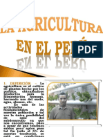 La Agricultura en El Peru 160325163218 PDF
