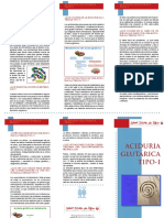 Aciduria Glutarica 2009 Cast PDF