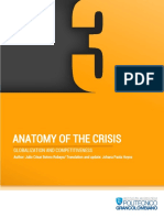Anathomy of The Crisis