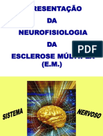 neurofisiologia