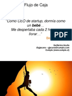 Flujo de Caja PDF