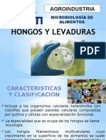 17 Hongos y Levaduras