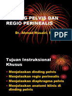 Dinding Pelvis Dan Regio Perinealis: Dr. Ahmad Husairi, Mag