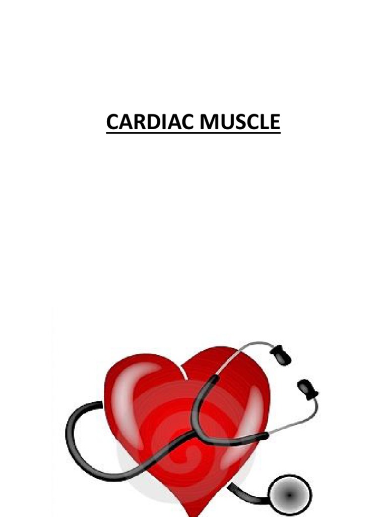 Heart Introduction Pdf Heart Cardiac Muscle