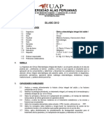 silabus adulto I.pdf