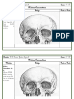 Fichas de Antropologia