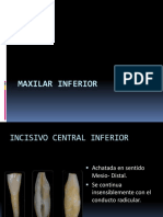 Maxilar Inferior.pptx