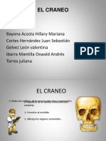 El Craneo