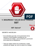 Induccion Capitulo V - SST