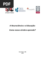 PRODUÇÃOTECNICA_NeurociênciaEducaçãoCerebro.pdf