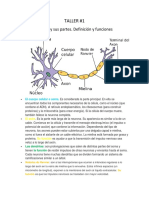 La Neurona: Definición, Partes y Funciones