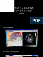 Abdomen II organs simulation guide