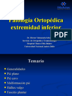 5267448 Patologia Ortopedica Pierna Tobillo Pie