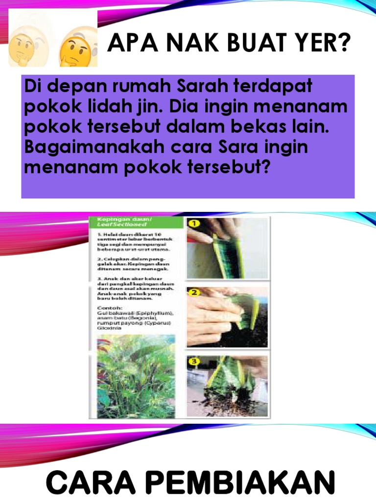 Cara Pembiakan Tumbuhan Pdf