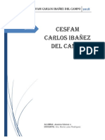 Informe Carlos Ibañez